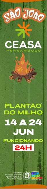 Imagem comtem um a foto de um destaque